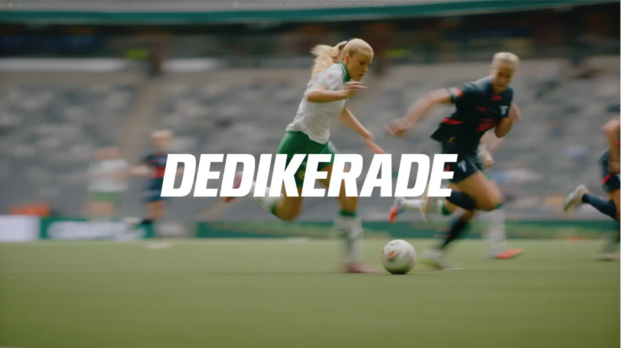 Regnbågsfonden video still
