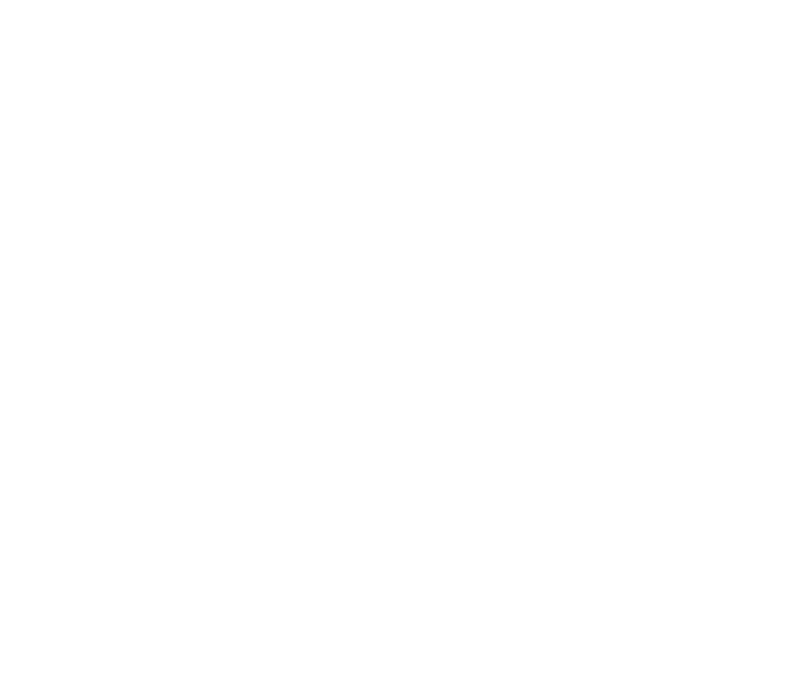 renault icon